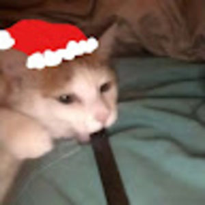 Meet your Posher, Robin